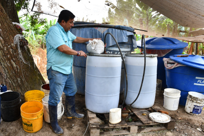 Aplicación de microorganismos y dióxido de cloro forma parte del proceso experimental que, según los productores, ha permitido controlar hongos y virosis durante más de un año.