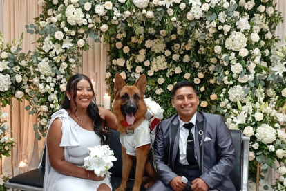 Las agencias del Registro Civil en Pichincha concentraron miles de matrimonios y divorcios durante 2025.