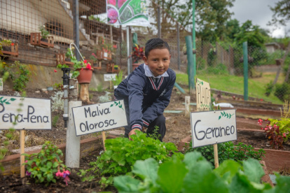 Iniciativa. Estudiantes y padres de familia participan en los huertos.