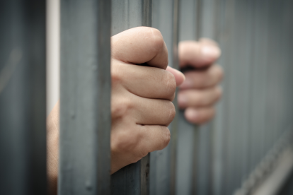 La captura de alias La Señora fue posible gracias al trabajo en conjunto con Estados Unidos.