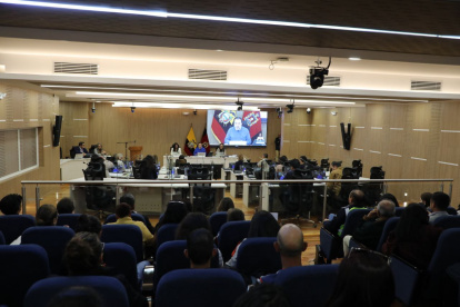 Dirigentes de varios barrios expusieron ayer al Concejo Metropolitano la falta de recursos policiales y la inseguridad que afecta a Quito.