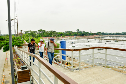 Residuos como harina de pescado y químicos industriales recorren la ciudad desde zonas industriales (como la vía a Daule) hasta la PTAR Los Merinos.
