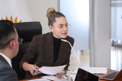 La presidenta de la Comisión de Justicia, la asambleísta oficialista Rosa Torres.