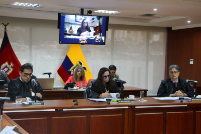 La elección de  la Corte Nacional de Justicia estuvo entre Daniella Camacho y Marco Rodríguez, jueces más antiguos.