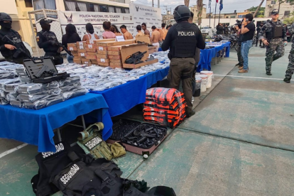 En total, 201 armas fueron retenidas durante la acción policial.