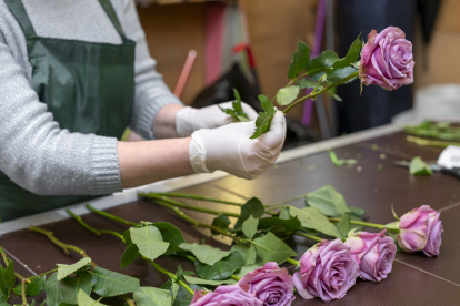 Exportación de flores ecuatorianas por San Valentín desde el Aeropuerto Internacional Mariscal Sucre de Quito.