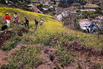 Deslizamientos y grietas se han registrado en el barrio Carigán Bajo, en Loja.