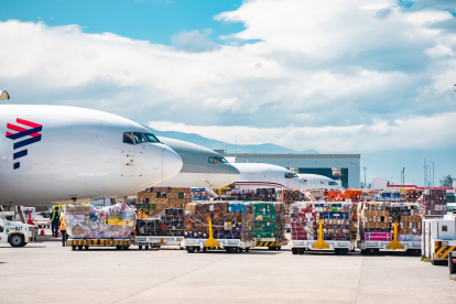 El sector florícola espera un incremento del 6 % del volumen de exportación con respecto a la temporada anterior.