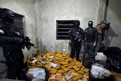 Un operativo policial evitó introducir 300 paquetes de droga en contenedores destinados a puertos internacionales.