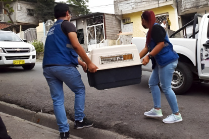 Personal de Proanimal investigará la alerta ciudadana por el supuesto maltrato y tortura de perros en Isla Santay.