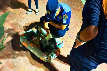 Nace un cachorro en plena calle del Malecón 2000, con intervención de Segura EP.