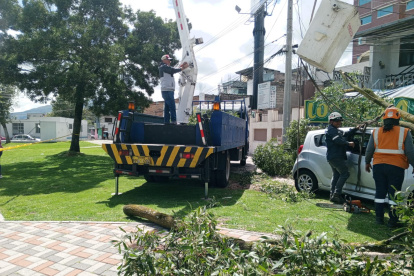 Personal especializado de la Epmmop, Empresa Eléctrica, Cuerpo de Bomberos y AMT trabajó en la emergencia del 17 de enero pasado, en el sur de Quito.