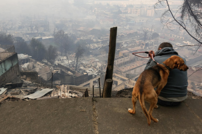 Un hombre observa junto a su perro casas afectadas tras incendios forestales este domingo, en la comuna de Penco, Concepción (Chile).