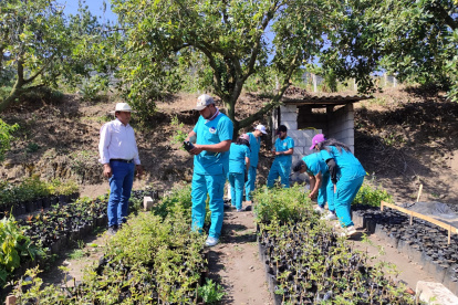 Proyecto. Estudiantes del Instituto Tecnológico Pelileo cultivan sandía y melón en fincas prestadas de Patate.
