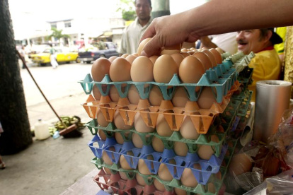 Gallinas. Desde octubre a diciembre ha habido una sobreoferta de huevos, lo que redujo el precio del producto.