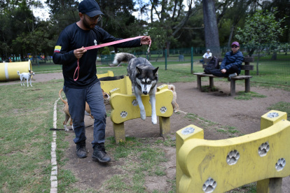 Los servicios para las mascotas se diversifican en la capital.
