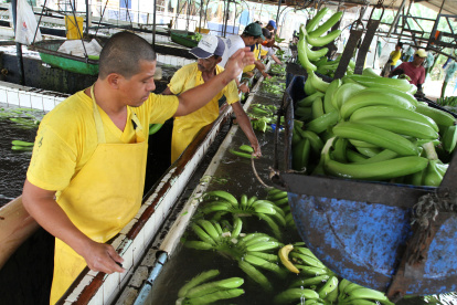 El proceso de venta de la hacienda La Clementina permanece estancado debido a problemas de seguridad.