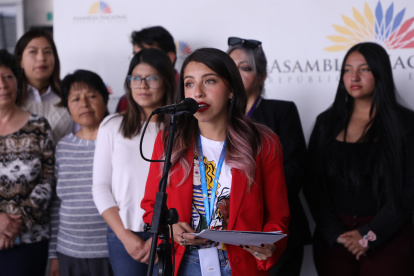 Jahiren Noriega explicó la situación de los centros de desarrollo infantil.