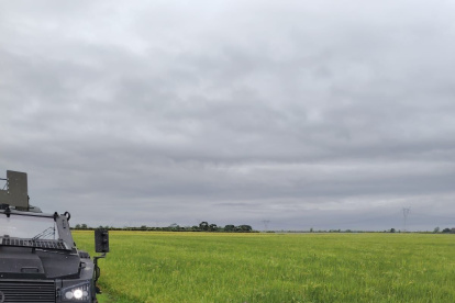 Alias Frank fue detenido en el lugar y puesto a órdenes de las autoridades.