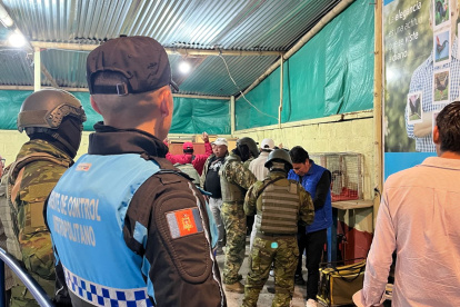 Clausuran gallera clandestina que operaba cerca de un establecimiento educativo en el norte de Quito.