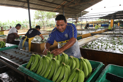 Su historia se remonta al siglo XIX, cuando el predio —entonces conocido como El Rincón— fue adquirido por Sixto Liborio Durán Borrero.