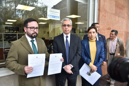 Enrique Herrería explicó los alcances del proyecto económico urgente en minería y electricidad.