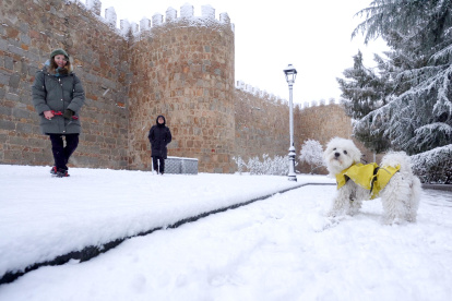 Dos personas pasean a su perro a los pies de la Muralla de Ávila, que está nevada, este miércoles