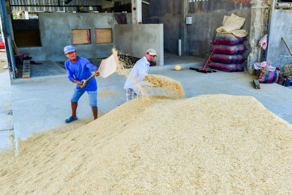 El arroz es uno de los productos afectados por los aranceles impuestos por Colombia.