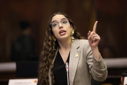 El polémico proyecto de ley fue presentado por la asambleísta Camila León (ADN).