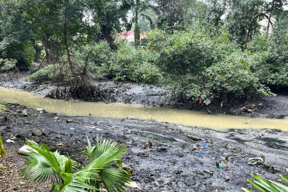 El sedimento ha tomado un color más natural, y ha perdido contaminantes.