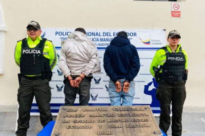 Dos ciudadanos extranjeros fueron detenidos por el robo de la placa.