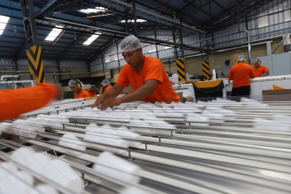 El sector plástico emplea 19.000 trabajadores directos y más de 120.000 indirectos.