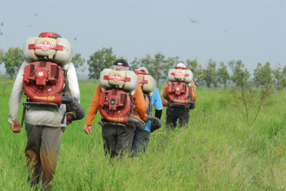 Entre enero del 2025 hasta enero del 2026 en el Sistema de Alerta Rápida para Alimentos y Piensos de la Unión Europea se registran un total de 11 notificaciones hacia frutas y verduras de origen ecuatoriano
