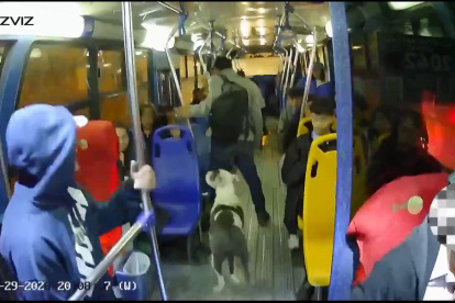 Cámaras de seguridad captaron el asalto armado en un bus urbano del sur de Quito, en el sector de Chillogallo.