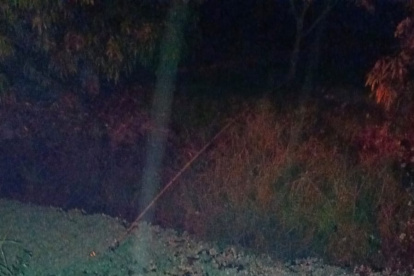 Siniestro. El siniestro ocurrió la madrugada de este domingo 1.