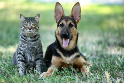 La UBA organizó un curso en línea de primeros auxilios.