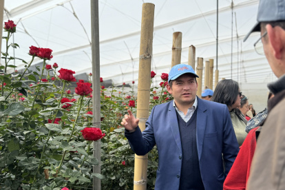 Expoflores proyecta ventas de hasta $ 276 millones