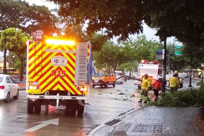 Un árbol cayó sobre la avenida José María Egas, en Sauces 3, a pocos metros del puente que conecta ese sector con La Puntilla.