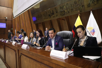 La Comisión de Fiscalización convocó a dos jueces anticorrupción para comparecer por juicio a Mario Godoy.