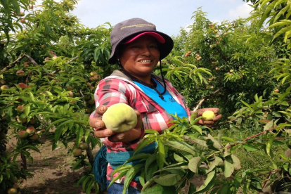 El monto del financiamiento será de hasta $5.000, con una tasa de 9,8 %.
