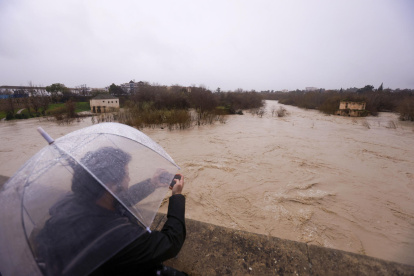 Vista del río Guadalquivir que ha alcanzado el umbral naranja a su paso por Córdoba donde la lámina de agua se sitúa ya en 2,24 metros sobre el nivel de aguas bajas.