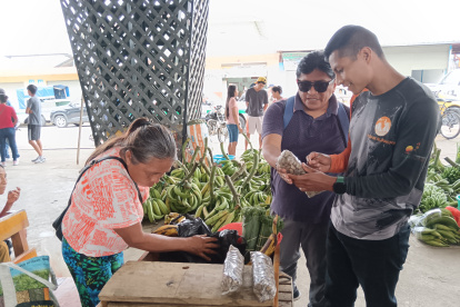 El maní del Inca, herencia viva de la chacra amazónica

El maní del Inca, herencia viva de la chacra amazónica.