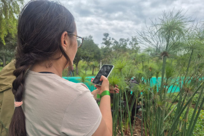 Con una aplicación se puede documentar la flora y fauna de los Hábitats Ecológicos Urbanos en el Parque Bicentenario.