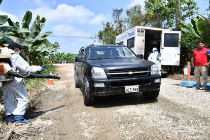 La presencia de Fusarium en El Oro fue confirmada oficialmente el 18 de diciembre de 2025.