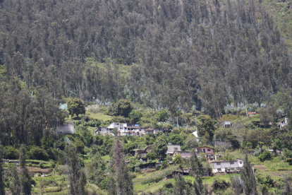 Se levantan edificaciones en áreas de protección ecológica, sin autorización o con fraccionamientos irregulares de terrenos que no respetan los lotes mínimos.