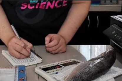 Parte del estudio de lisa para la detección de parásitos.