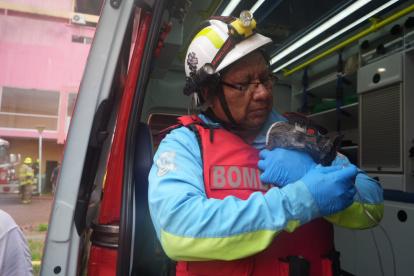 Bomberos participaron en el rescate de mascotas en medio de la emergencia por el incendio en el centro comercial Multicomercio.