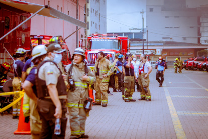 Varias instituciones se han unido para luchar contra el incendio de la Bahía.