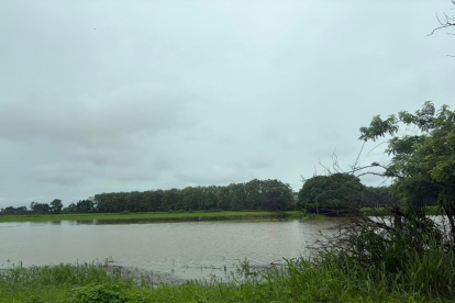 Algunos cultivos de recintos de la provincia de Los Ríos están inundados.