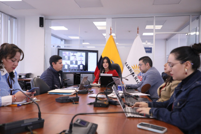 El CNE envió documentos al Legislativo, tras la solicitud de información de la Mesa de Participación.